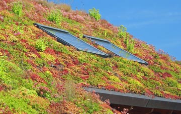 Orton Longueville living roof systems