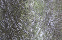 Orton Longueville fibreglass roof work